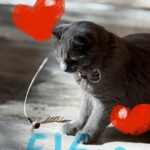 Meet your Posher, Maayan